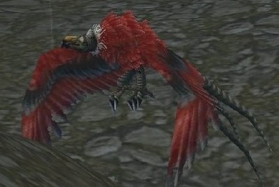 魔兽世界WLK哪里可以钓到腐肉鸟